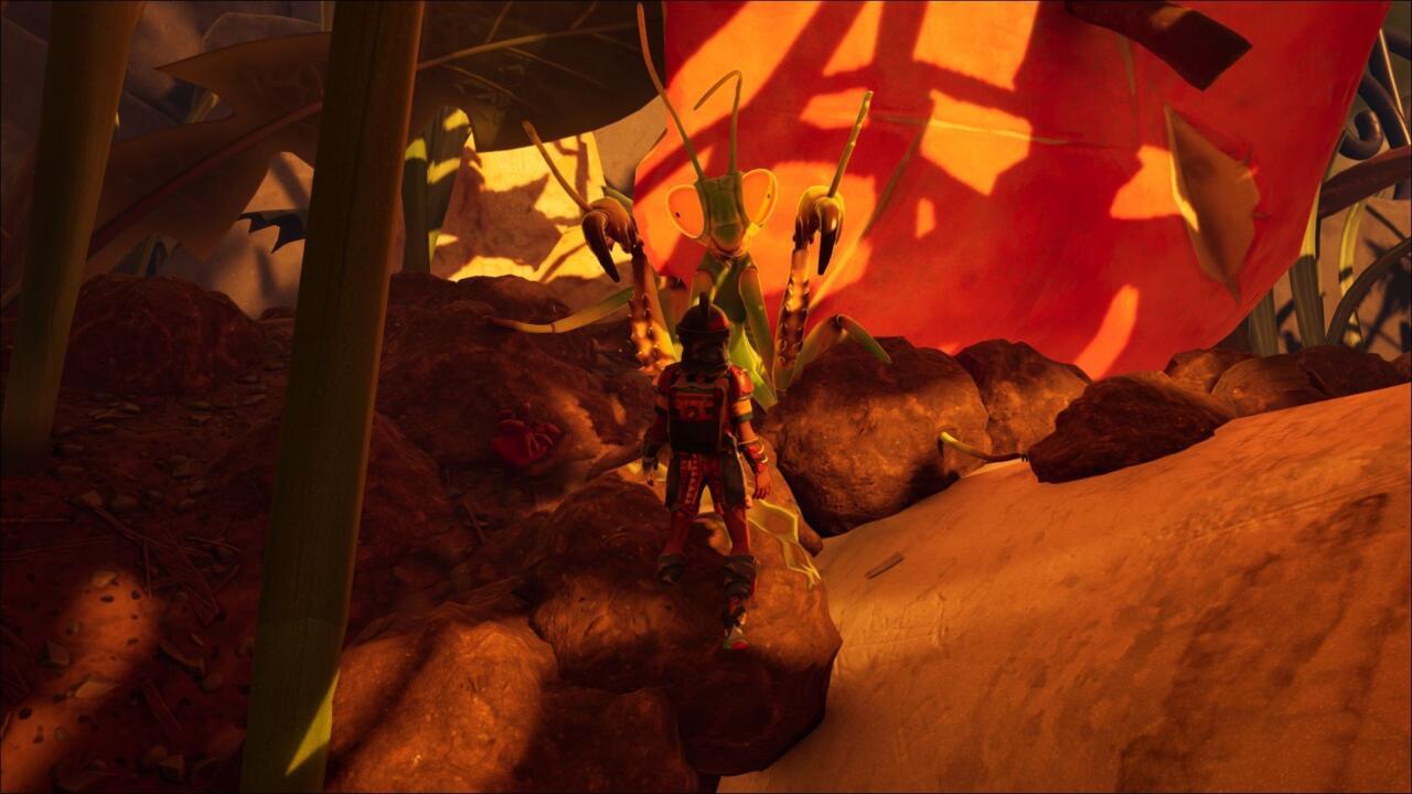 Praying Mantis Nymph