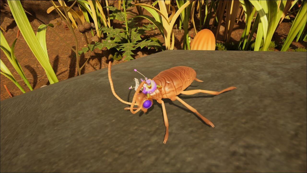 O.R.C. variants of bugs