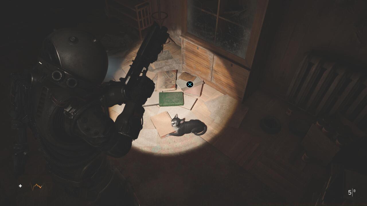 Follow and pet any cat you find