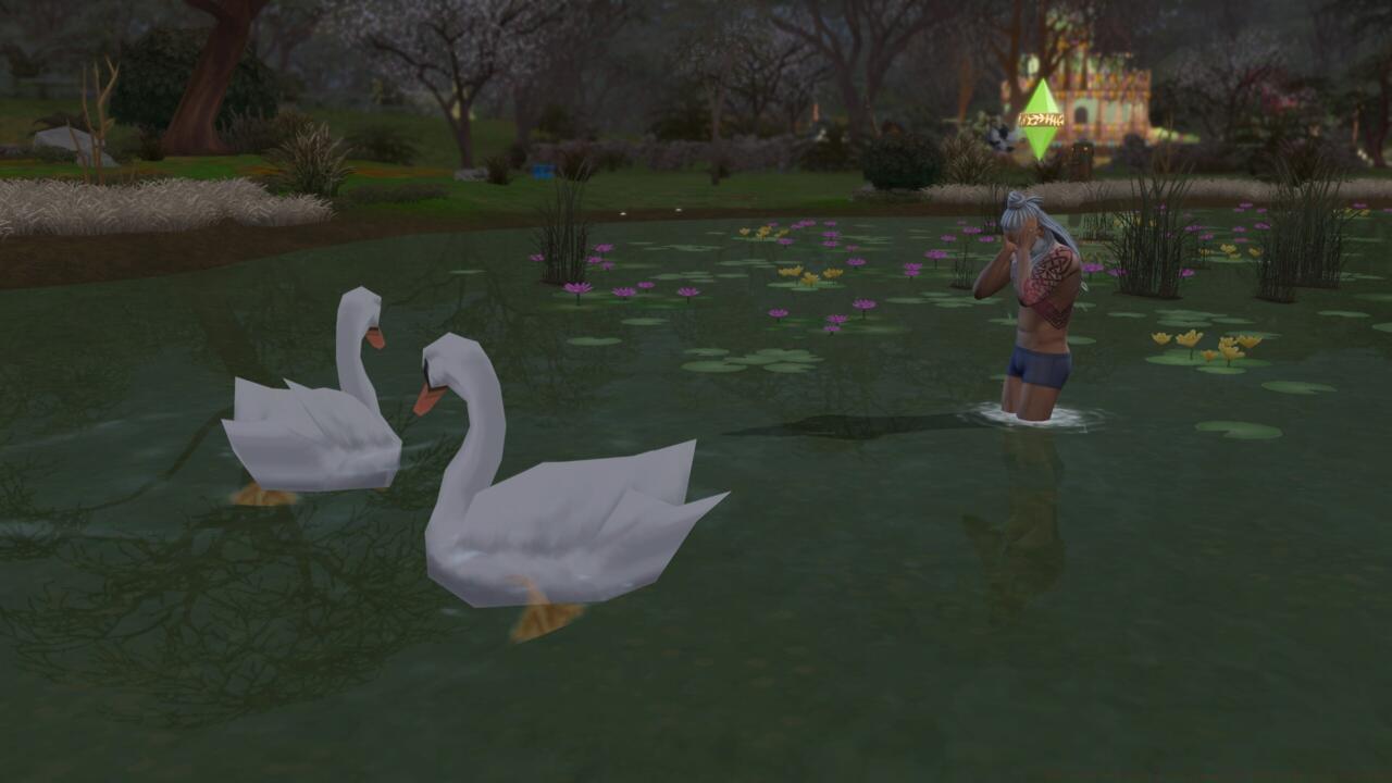 Rags to Riches, and Homeless challenge