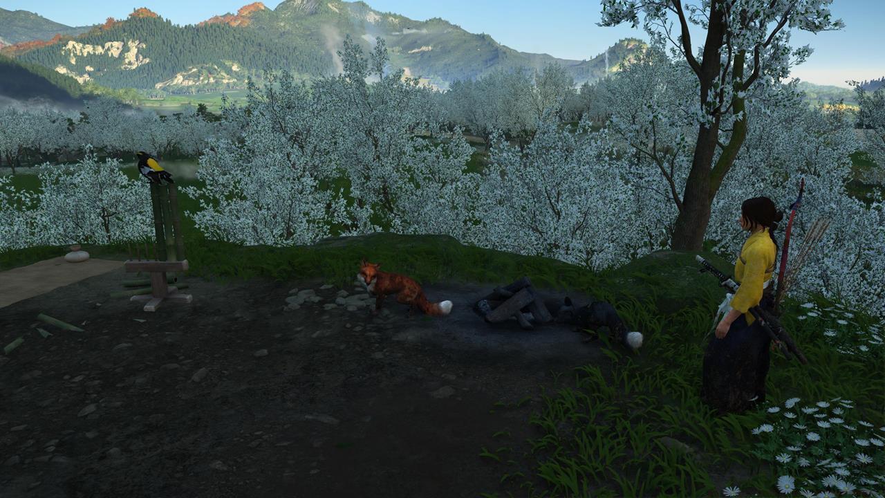 Yotei Grasslands Bamboo Strike location #3