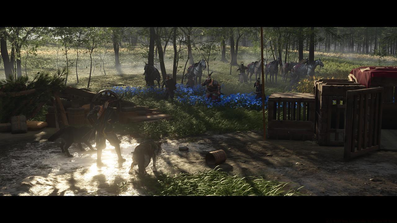 Yotei Grasslands Wolf Den location #1