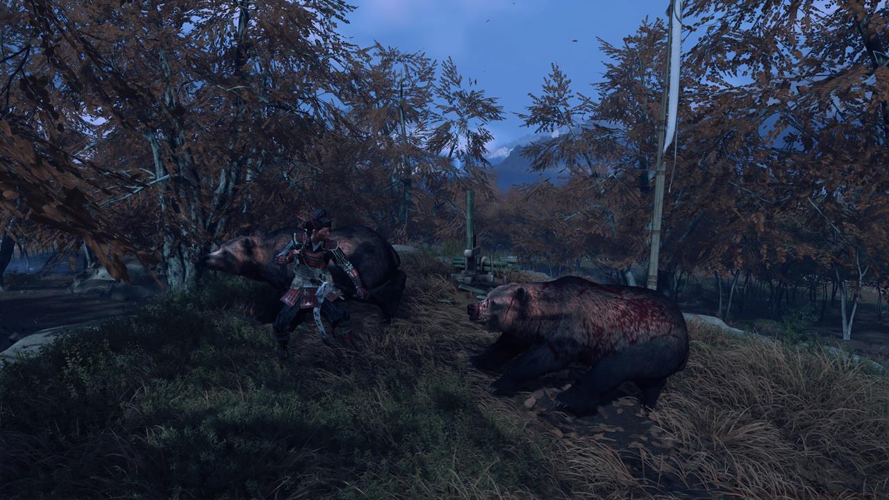 Tokachi Range Bamboo Strike location #2