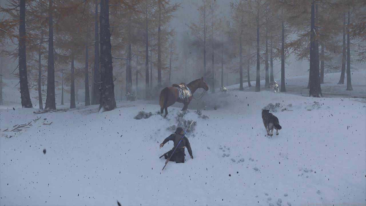 Teshio Ridge Wolf Den location #1