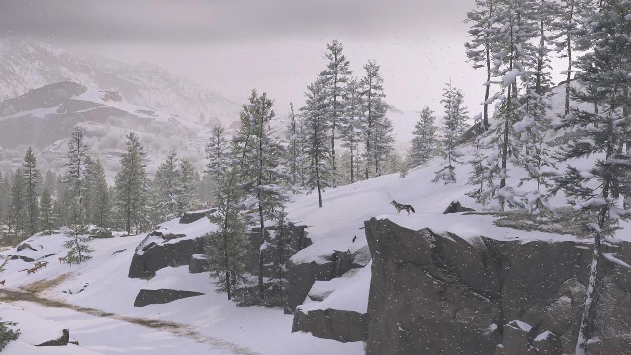 Teshio Ridge Sumi-e Painting location #2: Howling Pack Sumi-e