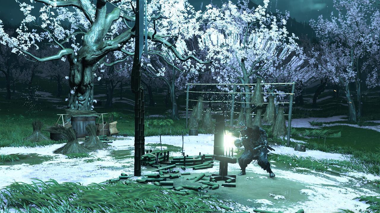 Oshima Coast Bamboo Strike location #1