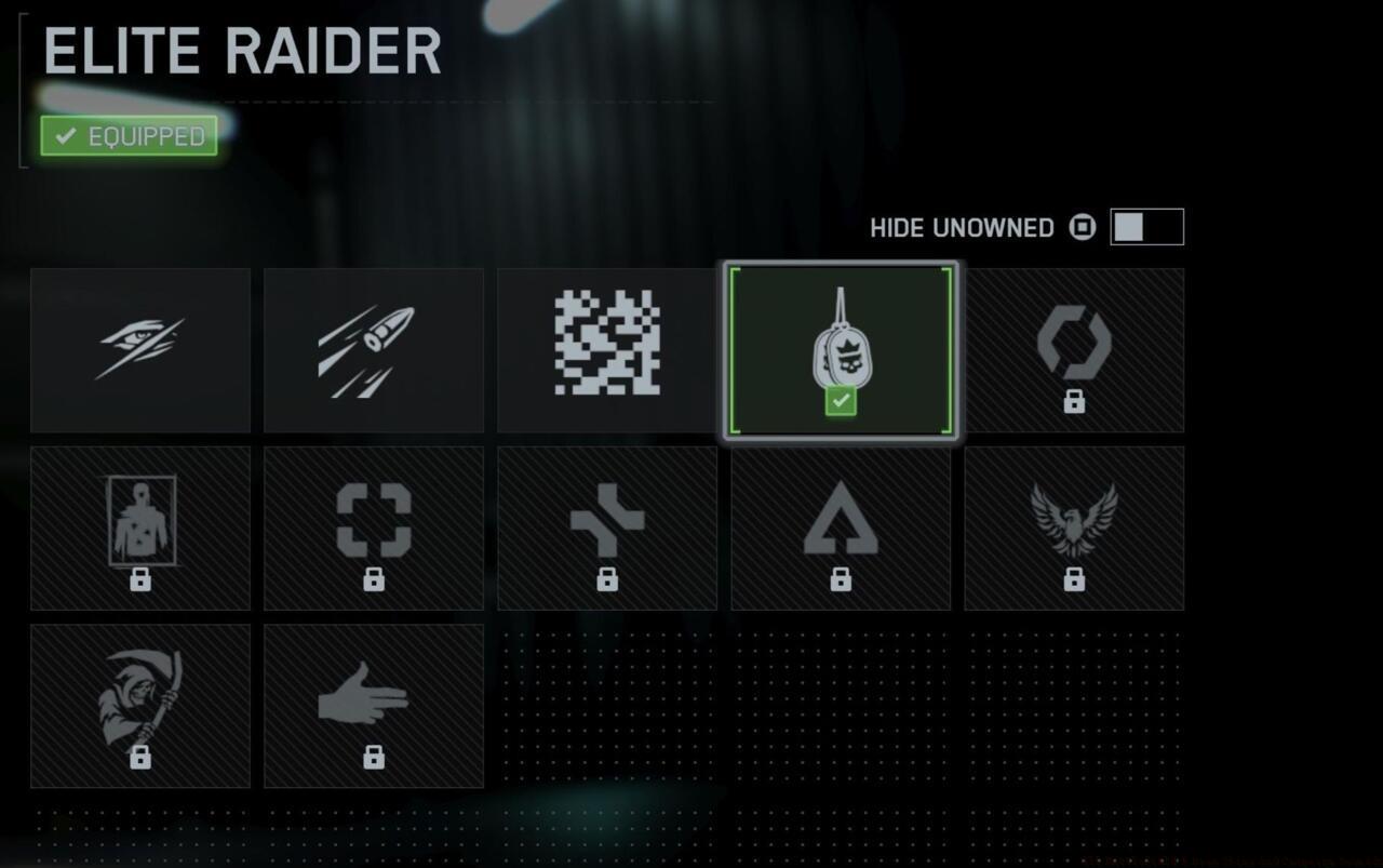 Elite Raider - Player card icon