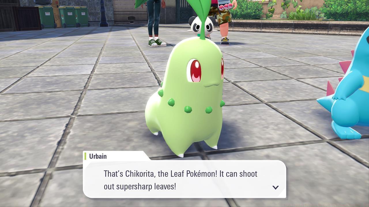 Chikorita vs. Totodile vs. Tepig