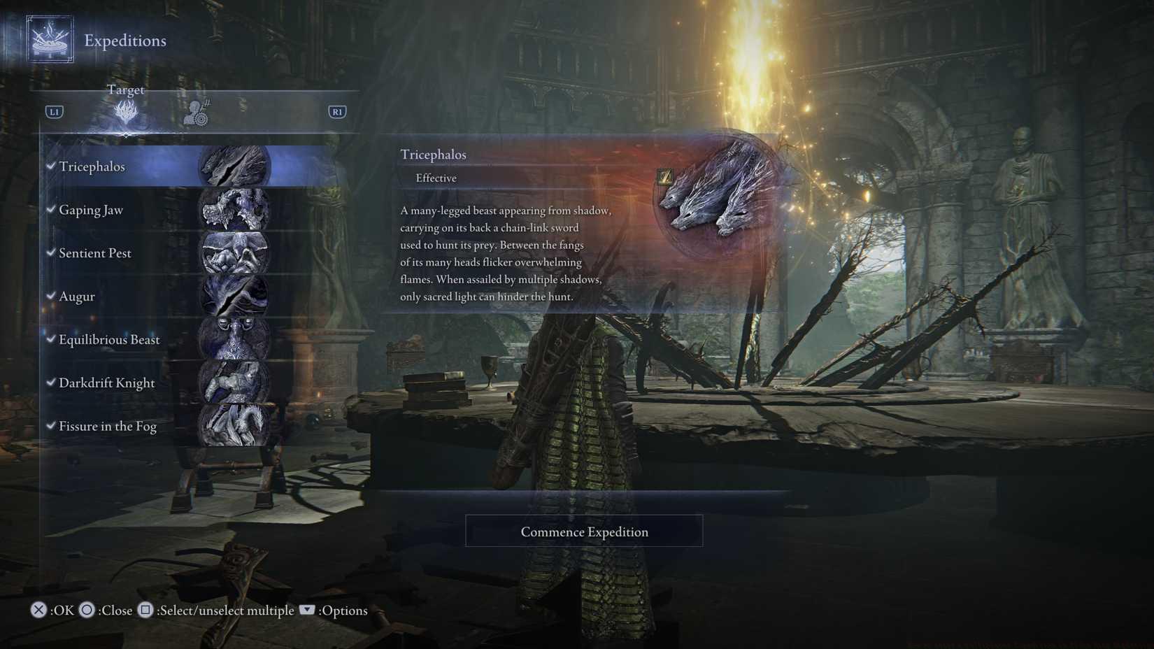 How to start a multiplayer Expedition in Elden Ring Nightreign