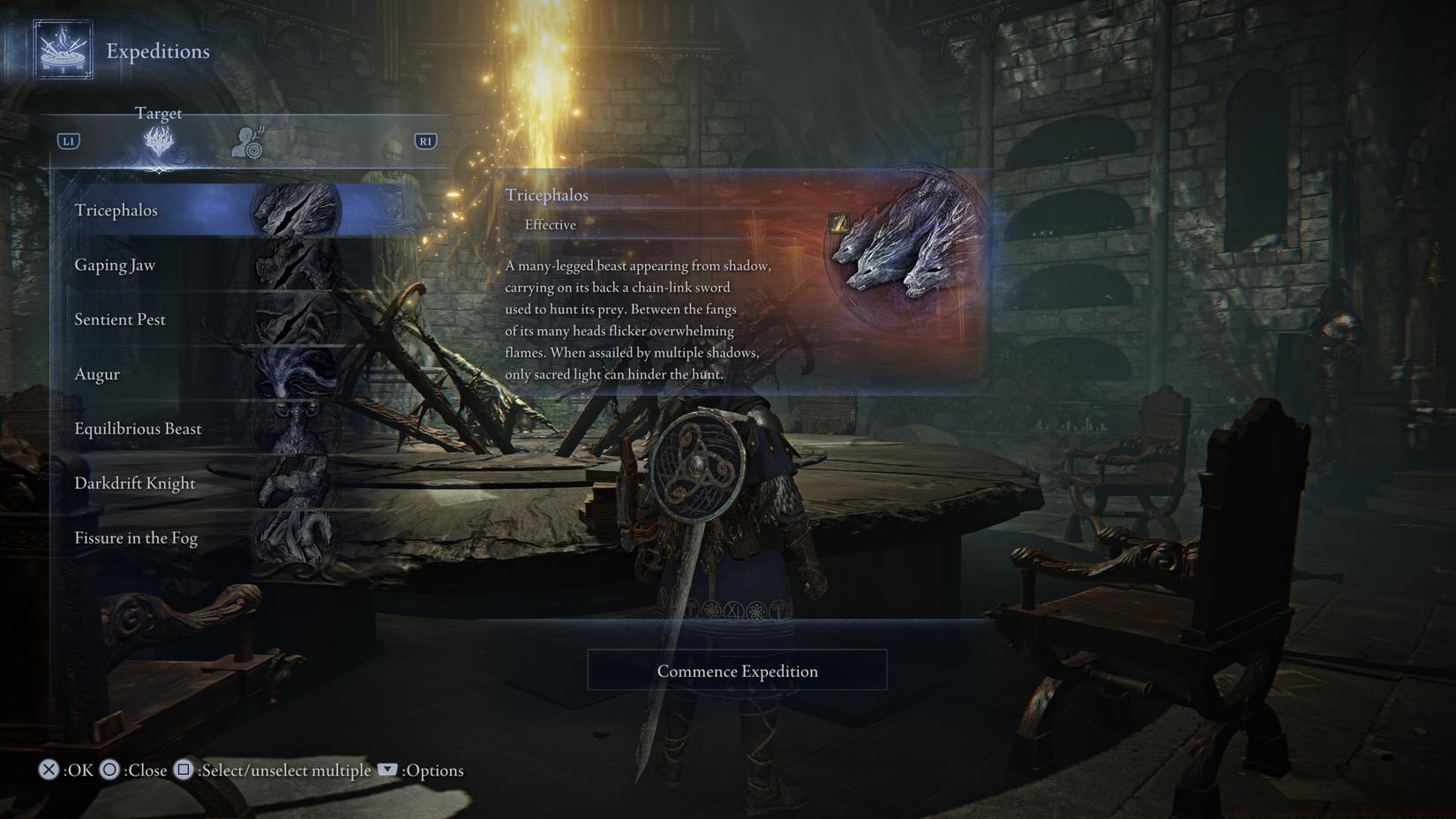 How to change skins in Elden Ring Nightreign