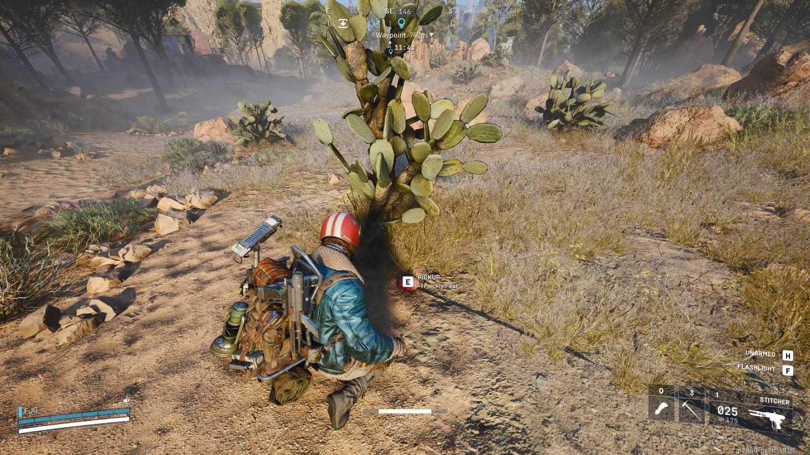 A prickly pear at the foot of a cactus in Arc Raiders.