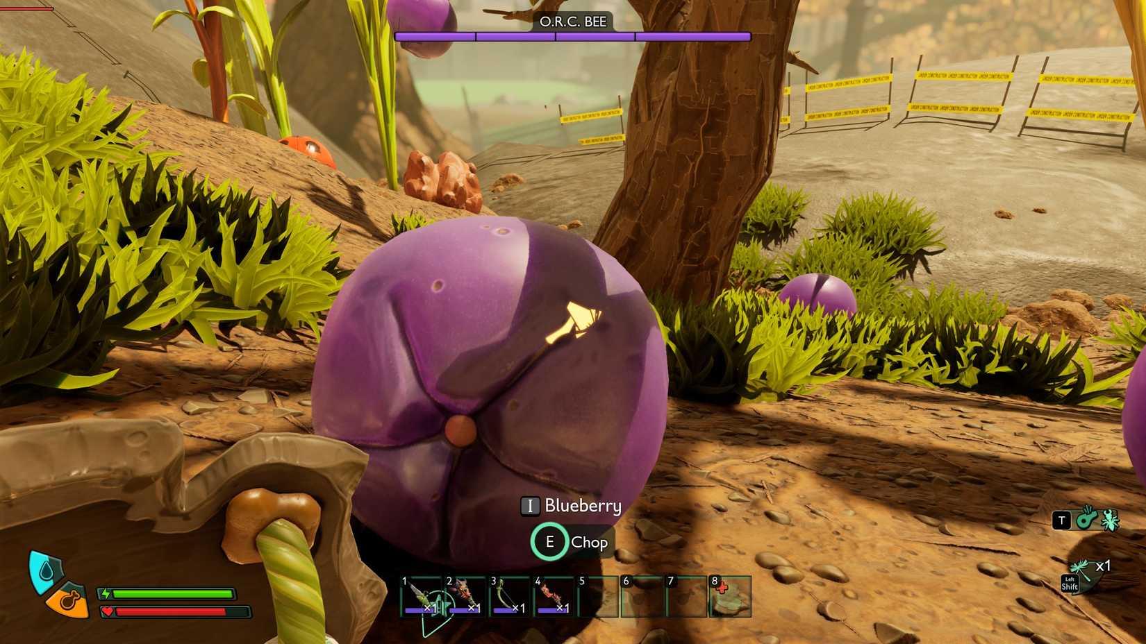 Where to find blueberries for blueberry leather in Grounded 2