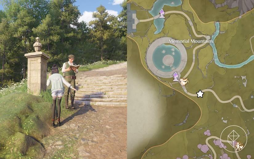 Aventura observation quiz answers list in Infinity Nikki