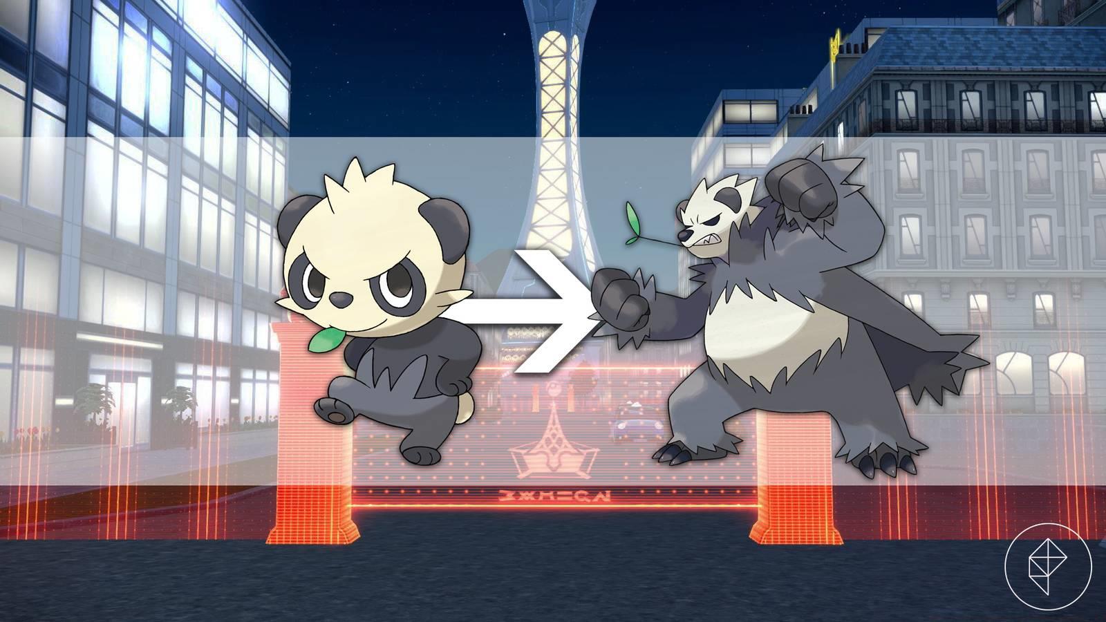 Pancham with an arrow showing its evolution Pangoro